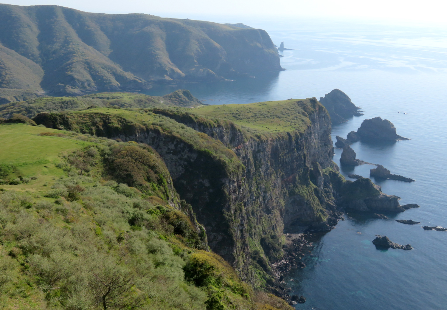 にっぽんa級グルメのまち連合 島根県西ノ島町 にっぽんa級 永久 グルメのまち連合